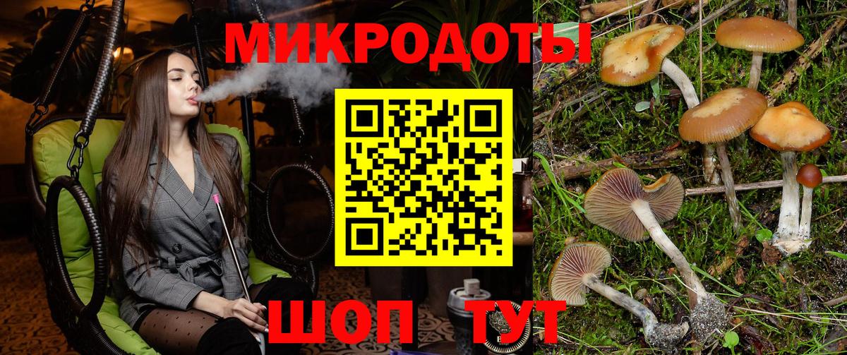 Россия  купить наркотики сайты  Галлюциногенные грибы ЛСД  Вход с VPN  Псилоцибиновые грибы Psilocybine cubensis 