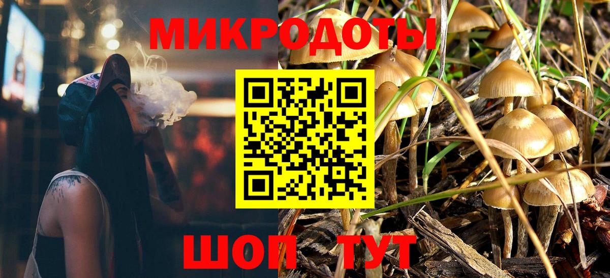 Галлюциногенные грибы прущие грибы Россия